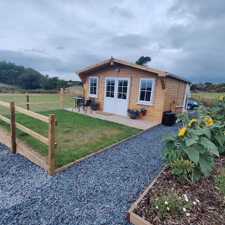 Bumble Bee Cabin Bootle  Εξωτερικό φωτογραφία
